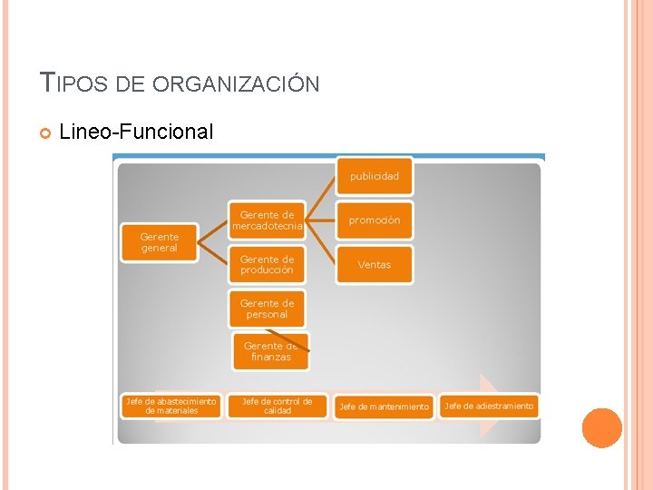 TIPOS DE ORGANIZACIÓN Lineo-Funcional 