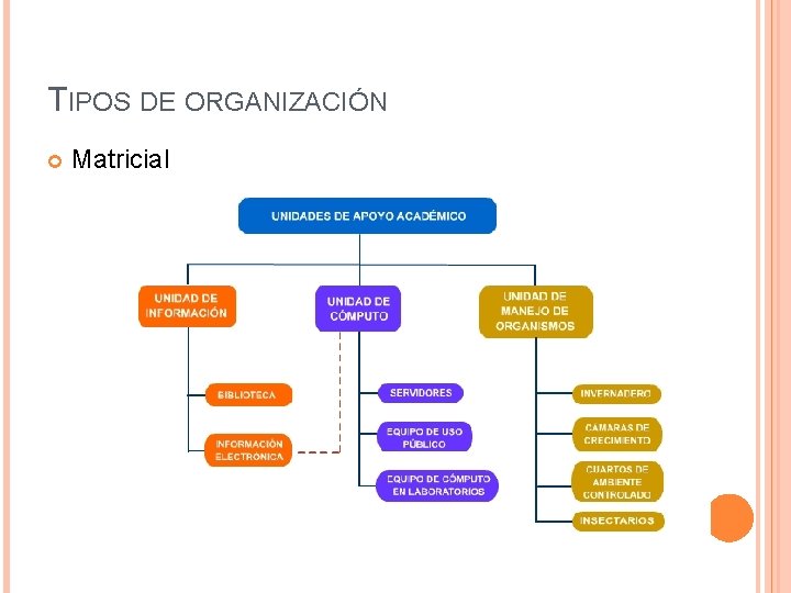 TIPOS DE ORGANIZACIÓN Matricial 