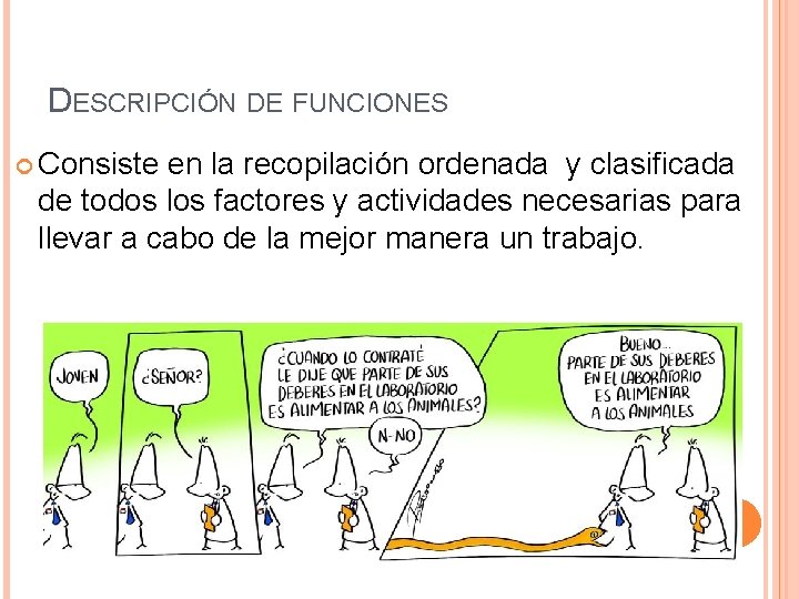 DESCRIPCIÓN DE FUNCIONES Consiste en la recopilación ordenada y clasificada de todos los factores