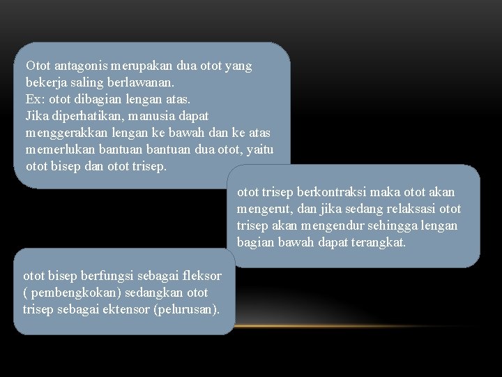 Otot antagonis merupakan dua otot yang bekerja saling berlawanan. Ex: otot dibagian lengan atas.