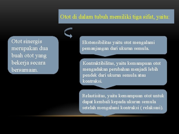 Otot di dalam tubuh memiliki tiga sifat, yaitu: Otot sinergis merupakan dua buah otot