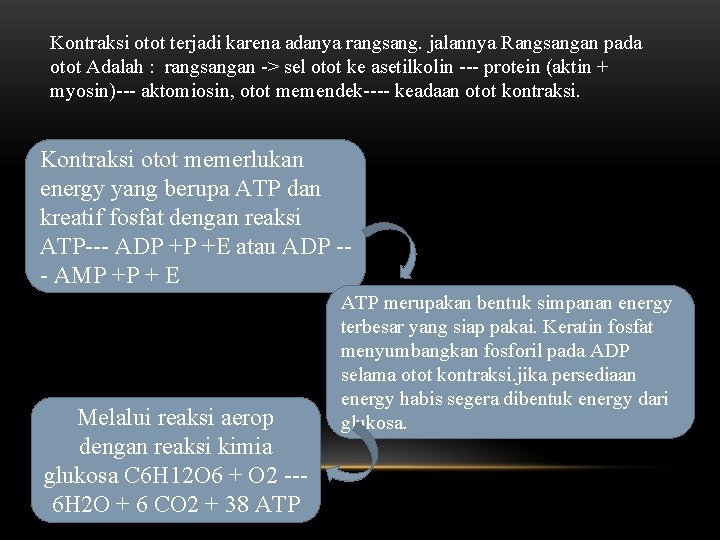 Kontraksi otot terjadi karena adanya rangsang. jalannya Rangsangan pada otot Adalah : rangsangan ->