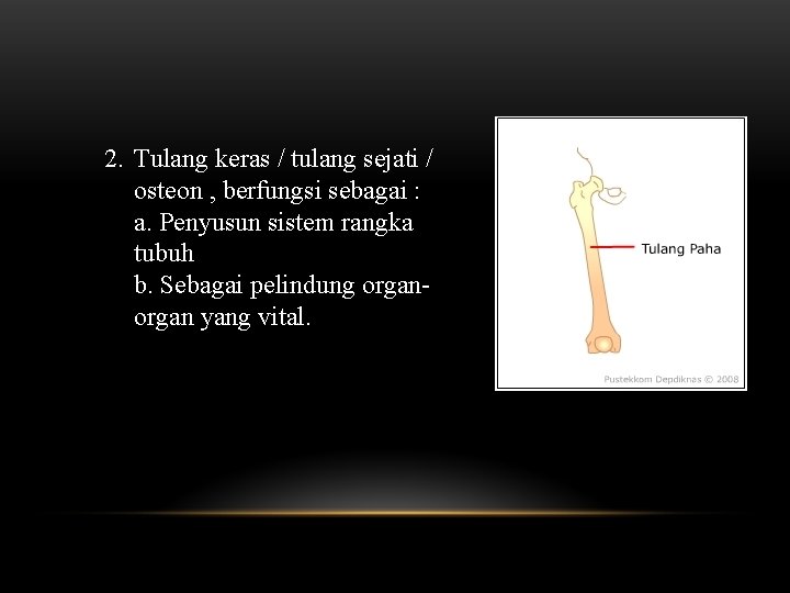 2. Tulang keras / tulang sejati / osteon , berfungsi sebagai : a. Penyusun