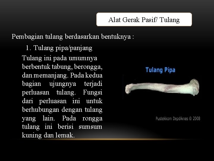 Alat Gerak Pasif/ Tulang Pembagian tulang berdasarkan bentuknya : 1. Tulang pipa/panjang Tulang ini