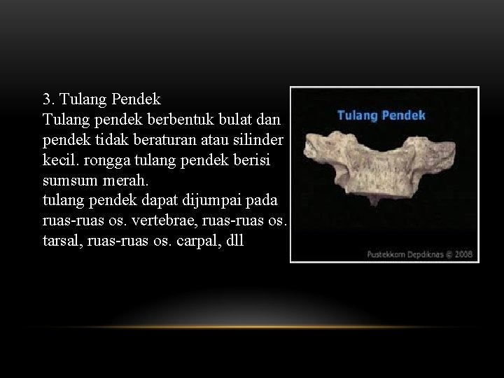 3. Tulang Pendek Tulang pendek berbentuk bulat dan pendek tidak beraturan atau silinder kecil.