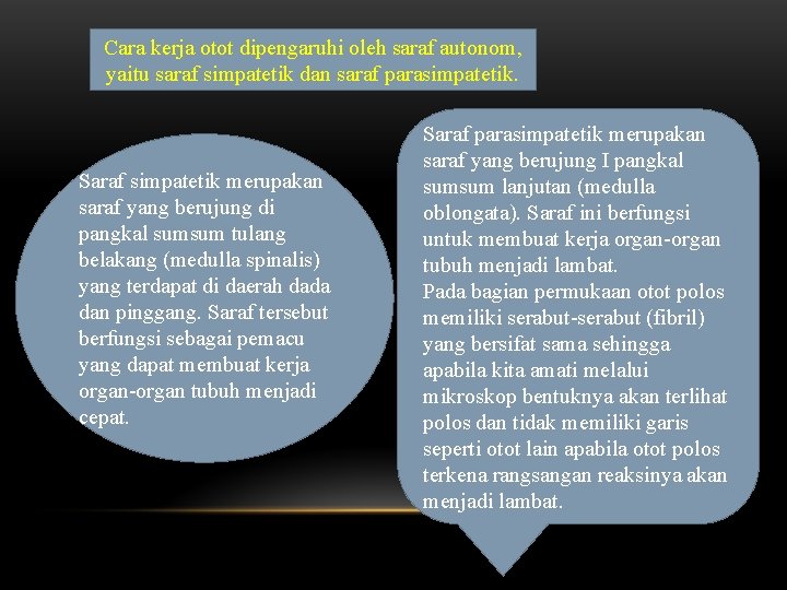 Cara kerja otot dipengaruhi oleh saraf autonom, yaitu saraf simpatetik dan saraf parasimpatetik. Saraf