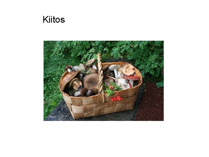 Kiitos 