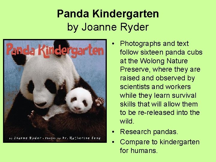 Panda Kindergarten by Joanne Ryder • Photographs and text follow sixteen panda cubs at