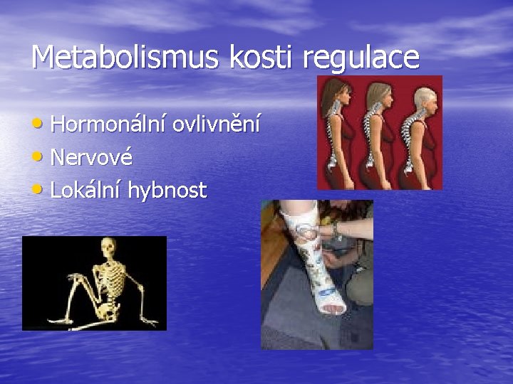 Metabolismus kosti regulace • Hormonální ovlivnění • Nervové • Lokální hybnost 