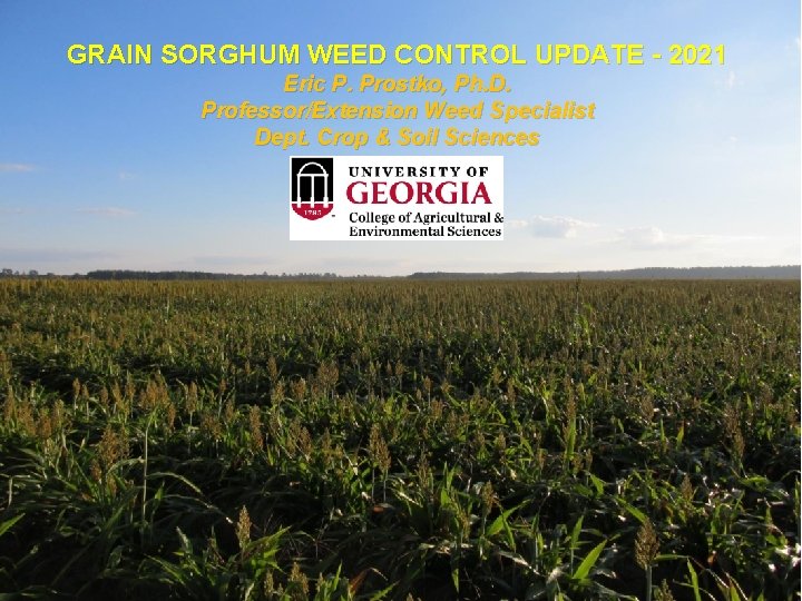 GRAIN SORGHUM WEED CONTROL UPDATE - 2021 Eric P. Prostko, Ph. D. Professor/Extension Weed