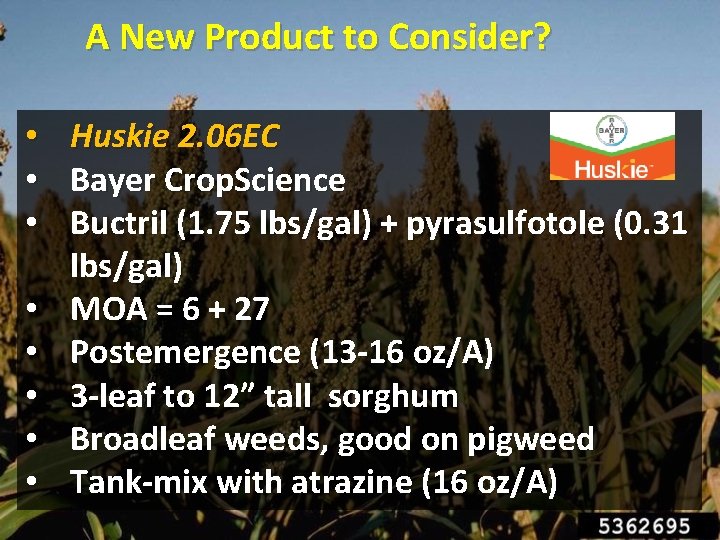 A New Product to Consider? • • Huskie 2. 06 EC Bayer Crop. Science