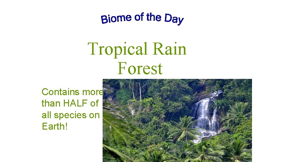 Tropical Rain Forest Contains more than HALF of all species on Earth! 