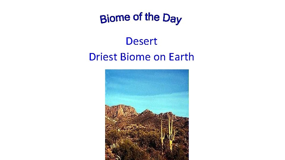 Desert Driest Biome on Earth 