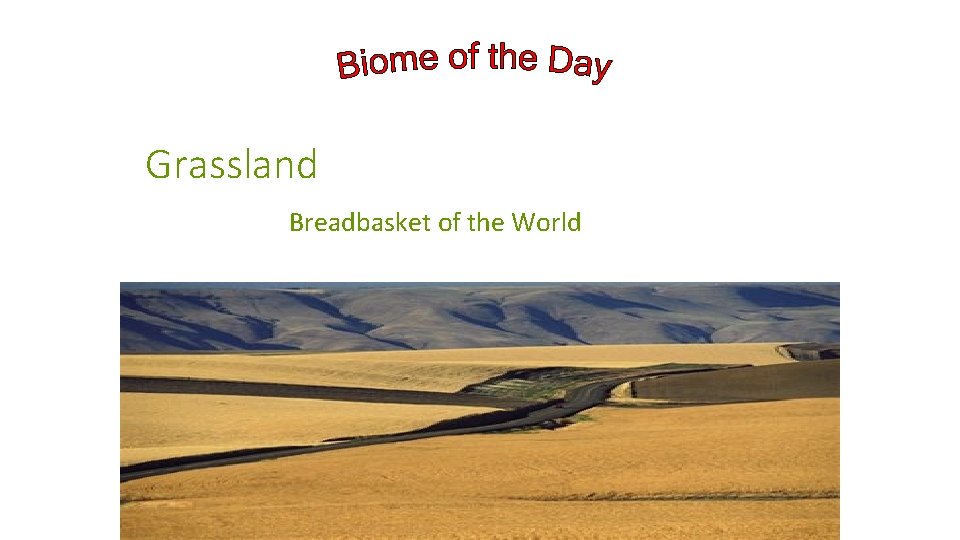 Grassland Breadbasket of the World 