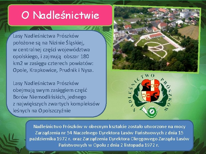 O Nadleśnictwie Lasy Nadleśnictwa Prószków położone są na Nizinie Śląskiej, w centralnej części województwa