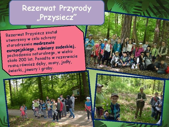 Rezerwat Przyrody „Przysiecz” cz został ie s y z r P t a w