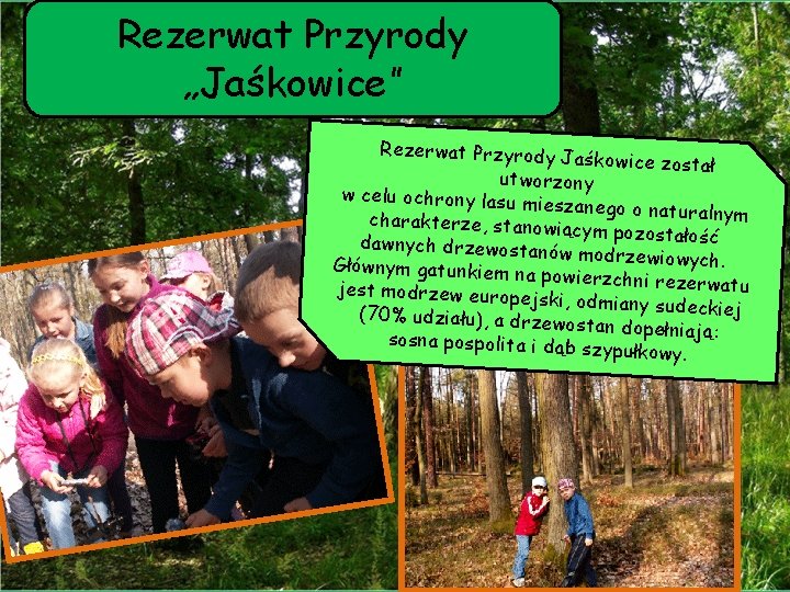 Rezerwat Przyrody „Jaśkowice” Rezerwat Przyrody J aśkowice został utworzony w celu ochrony lasu m