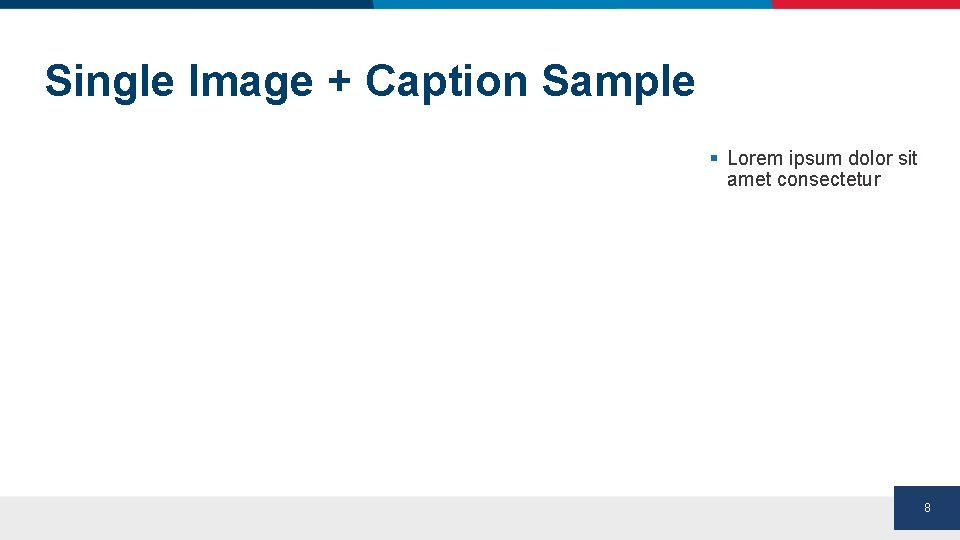 Single Image + Caption Sample § Lorem ipsum dolor sit amet consectetur 8 