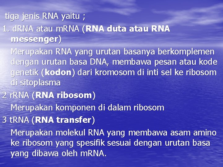 tiga jenis RNA yaitu ; 1. d. RNA atau m. RNA (RNA duta atau