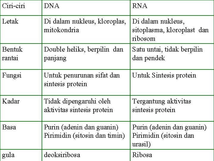 Ciri-ciri DNA RNA Letak Di dalam nukleus, kloroplas, Di dalam nukleus, mitokondria sitoplasma, kloroplast