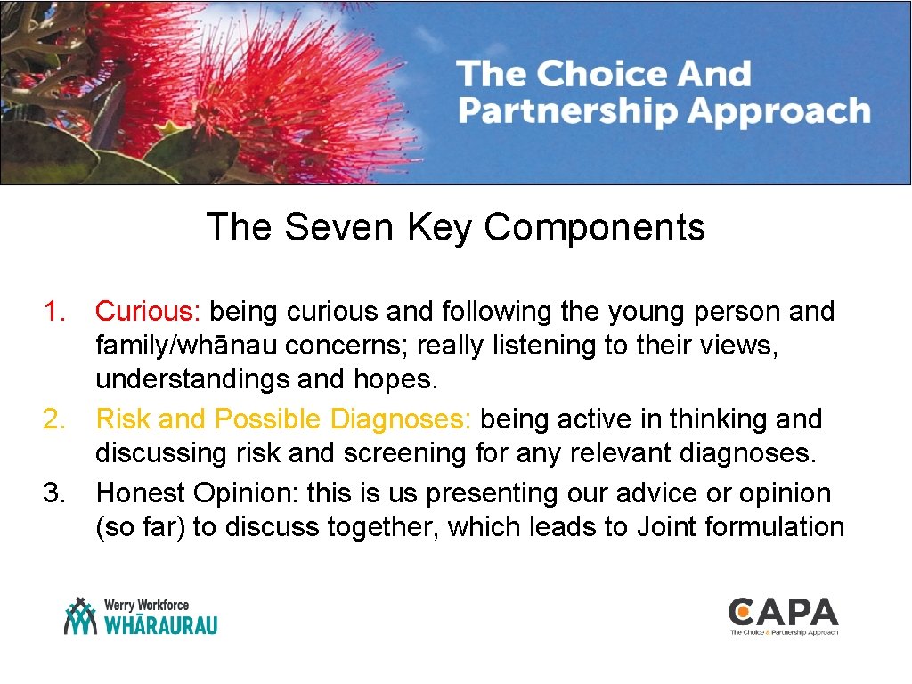 The Seven Key Components 1. Curious: being curious and following the young person and