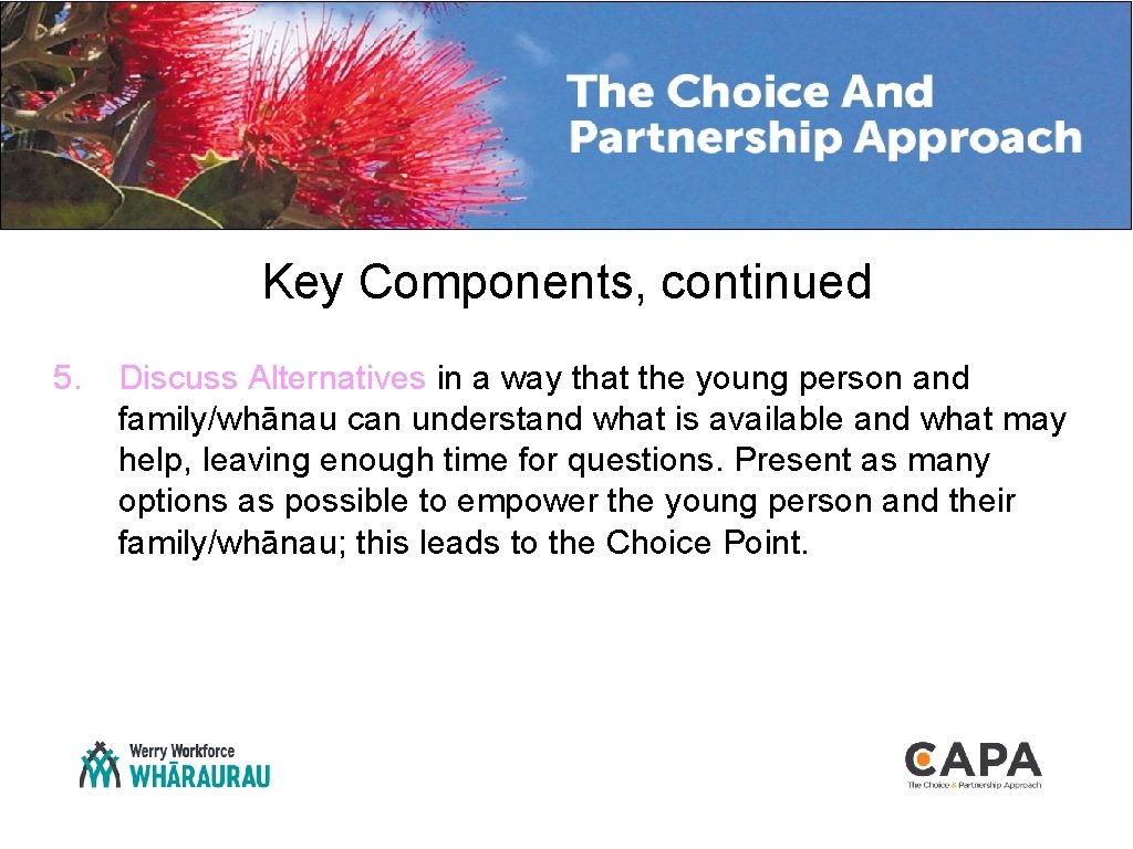 Key Components, continued 5. Discuss Alternatives in a way that the young person and