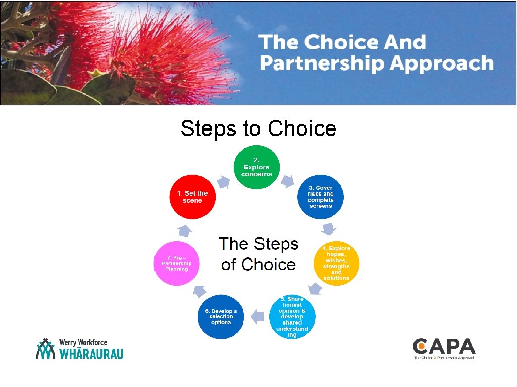 Steps to Choice 