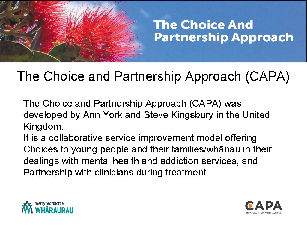 The Choice and Partnership Approach (CAPA) was developed by Ann York and Steve Kingsbury