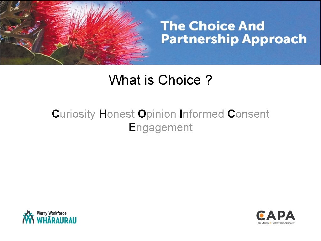 What is Choice ? Curiosity Honest Opinion Informed Consent Engagement 