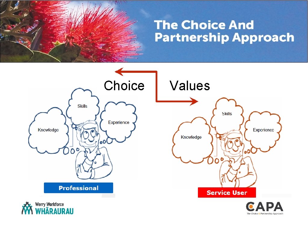 Choice Values 
