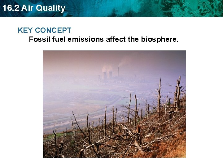 16. 2 Air Quality KEY CONCEPT Fossil fuel emissions affect the biosphere. 