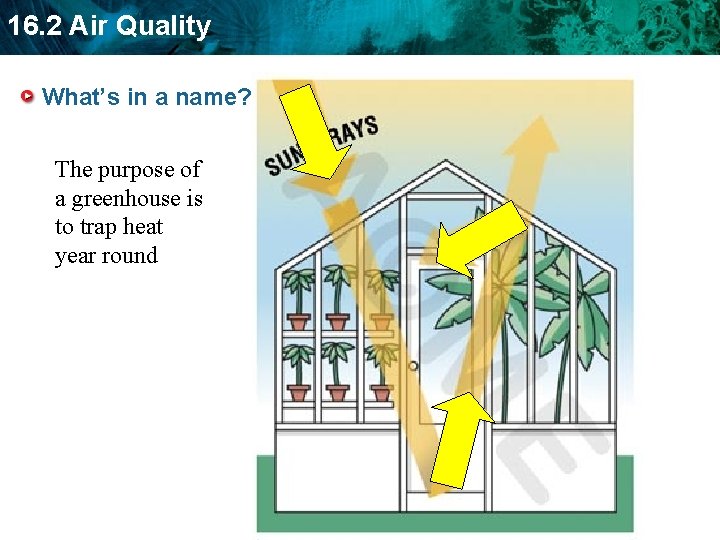 16. 2 Air Quality What’s in a name? The purpose of a greenhouse is 16. 2 Air Quality What’s in a name? The purpose of a greenhouse is