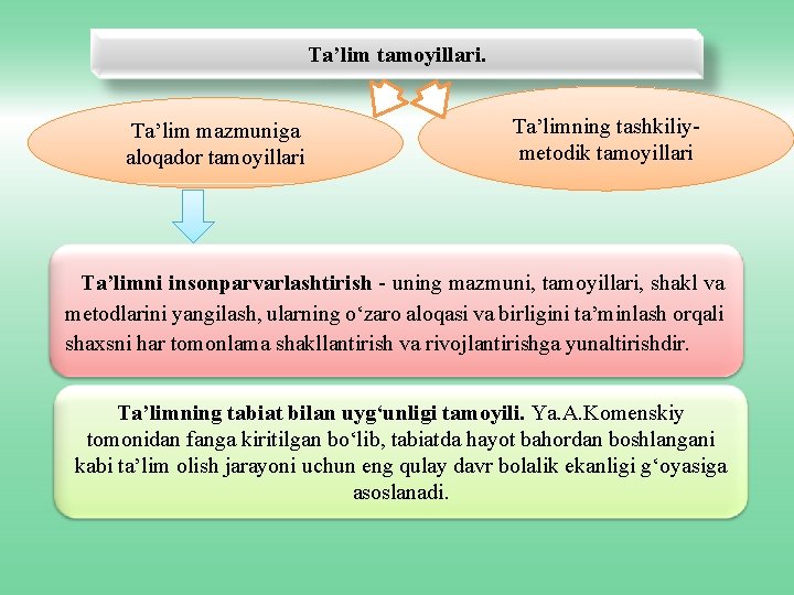 Ta’lim tamoyillari. Ta’lim mazmuniga aloqador tamoyillari Ta’limning tashkiliymetodik tamoyillari Ta’limni insonparvarlashtirish - uning mazmuni,