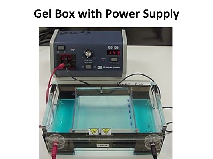 Gel Box with Power Supply 