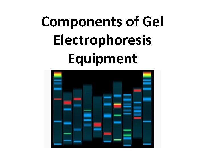 Components of Gel Electrophoresis Equipment 