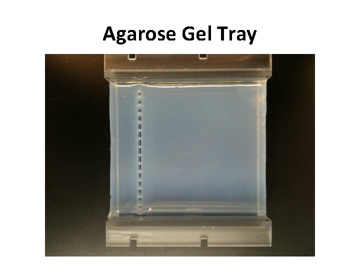 Agarose Gel Tray 