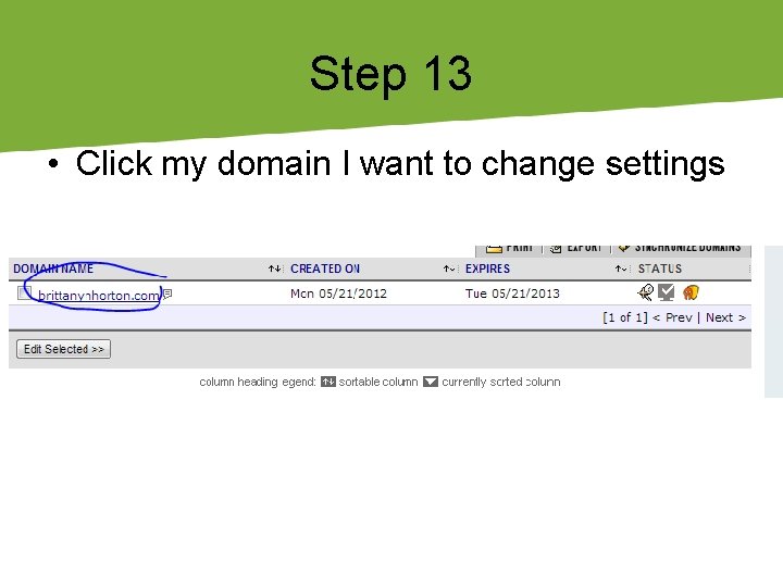 Step 13 • Click my domain I want to change settings 