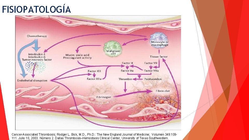 FISIOPATOLOGÍA Cancer-Associated Thrombosis; Rodger L. Bick, M. D. , Ph. D. : The New