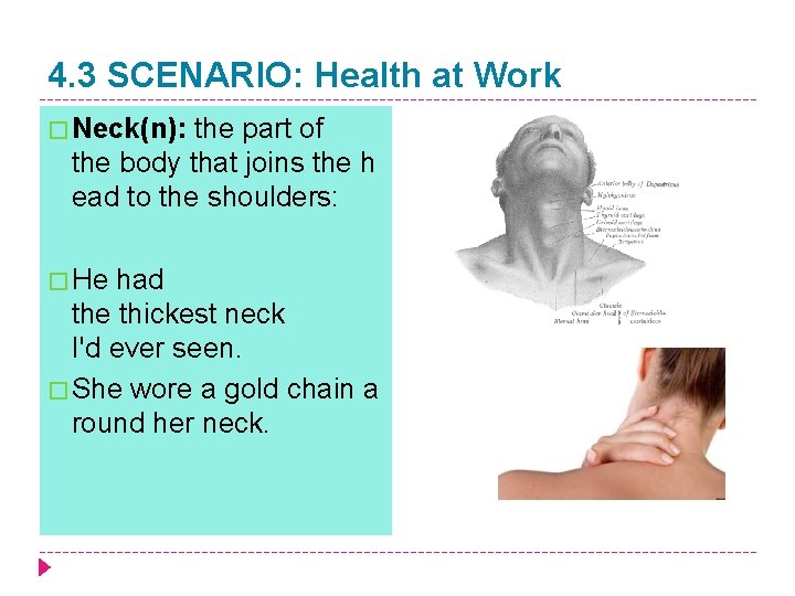 4. 3 SCENARIO: Health at Work � Neck(n): the part of the body that