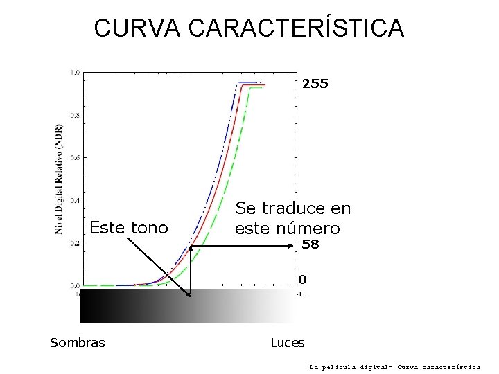 CURVA CARACTERÍSTICA 255 Este tono Se traduce en este número 58 0 Sombras Luces