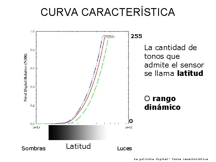 CURVA CARACTERÍSTICA 255 La cantidad de tonos que admite el sensor se llama latitud