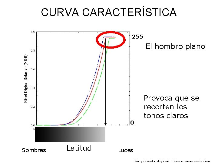 CURVA CARACTERÍSTICA 255 El hombro plano 0 Sombras Latitud Provoca que se recorten los