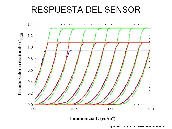 RESPUESTA DEL SENSOR La película digital- Curva característica 