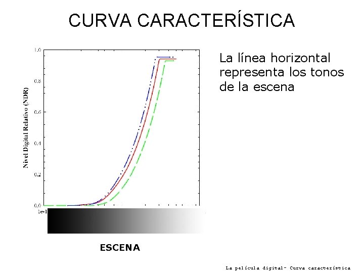 CURVA CARACTERÍSTICA La línea horizontal representa los tonos de la escena ESCENA La película