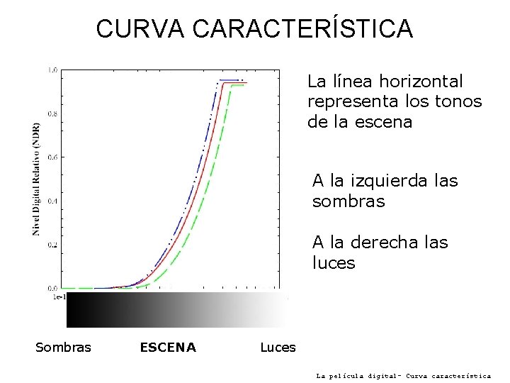 CURVA CARACTERÍSTICA La línea horizontal representa los tonos de la escena A la izquierda