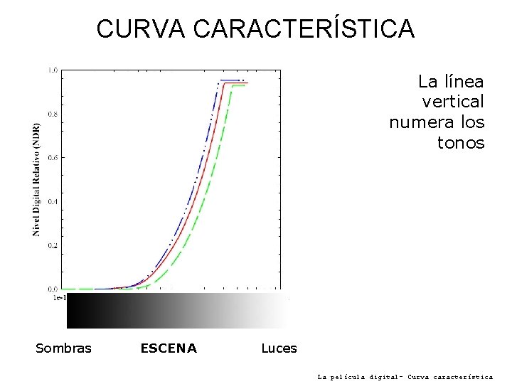 CURVA CARACTERÍSTICA La línea vertical numera los tonos Sombras ESCENA Luces La película digital-