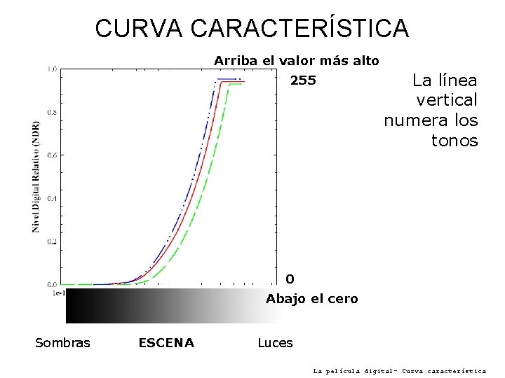 CURVA CARACTERÍSTICA Arriba el valor más alto 255 La línea vertical numera los tonos