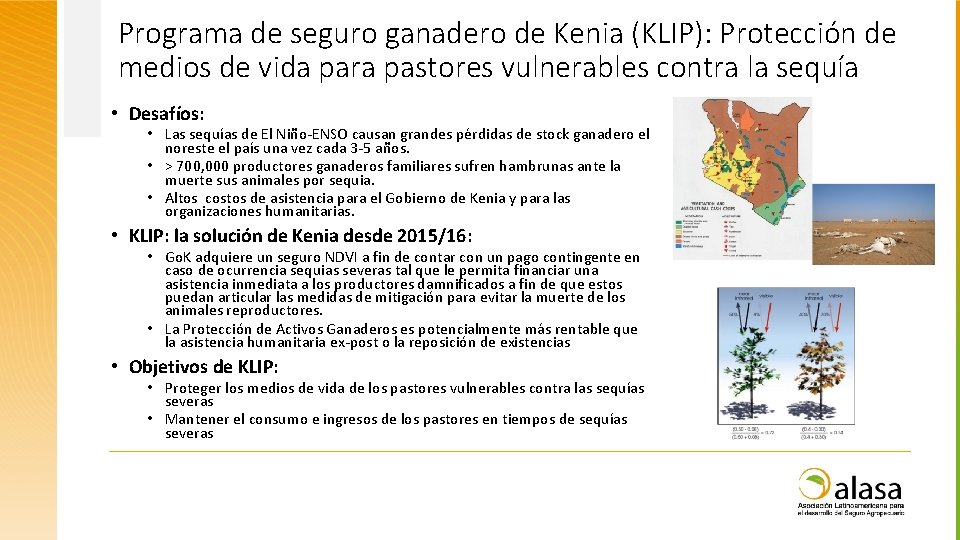 Programa de seguro ganadero de Kenia (KLIP): Protección de medios de vida para pastores