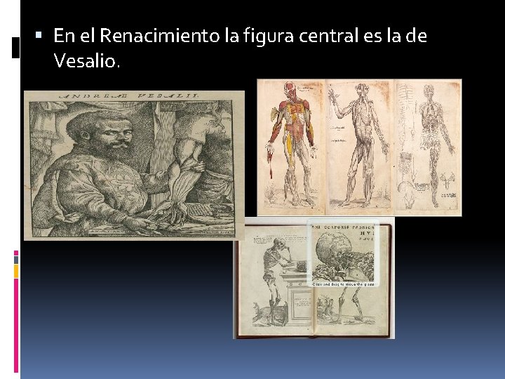  En el Renacimiento la figura central es la de Vesalio. 