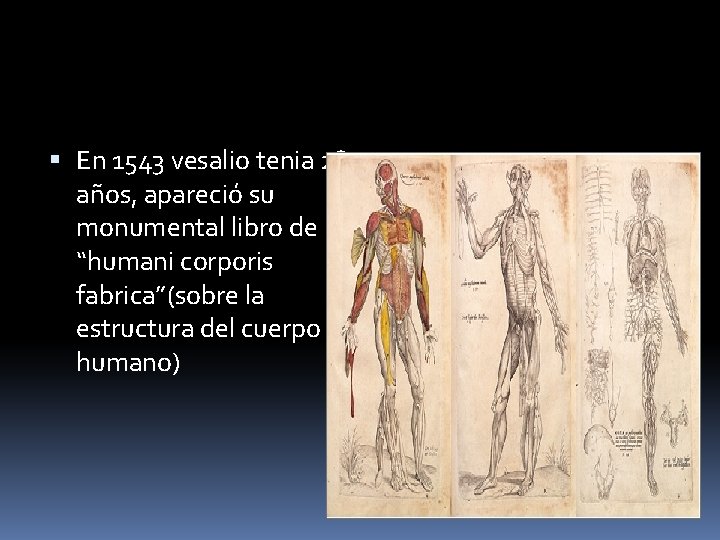  En 1543 vesalio tenia 28 años, apareció su monumental libro de “humani corporis